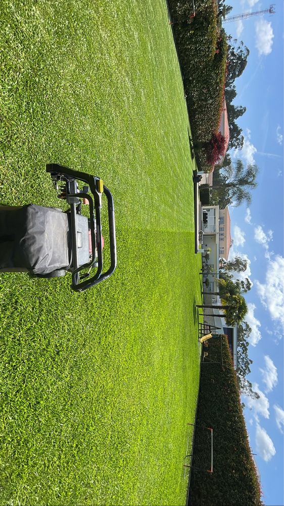 Serviços de jardinagem e limpeza de terrenos.