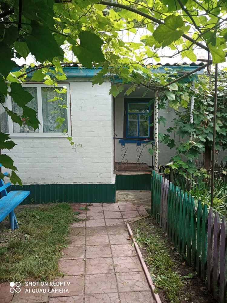 Продам будинок в селі Патюти, Козелецького р-ну