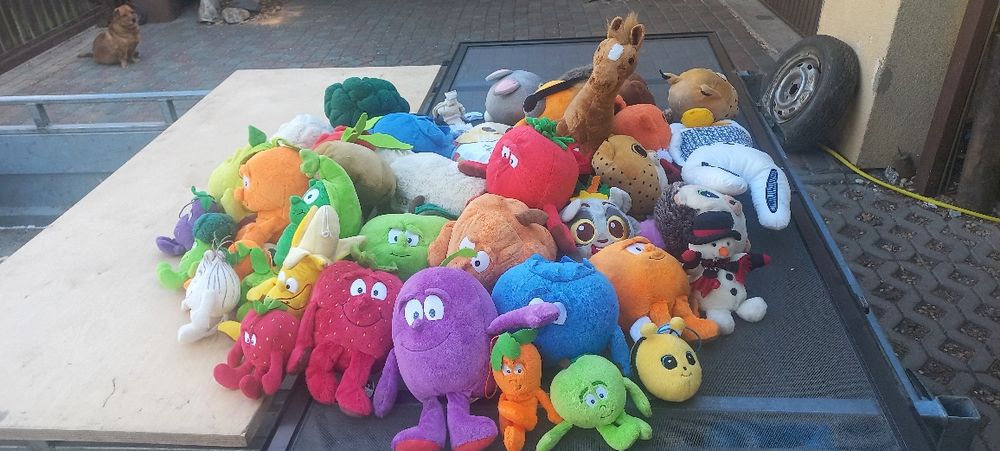 Pluszaki duzy zestaw