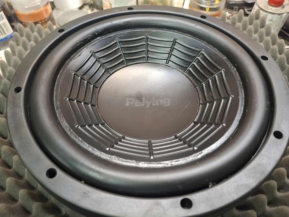 Głośnik subwoofer 25cm