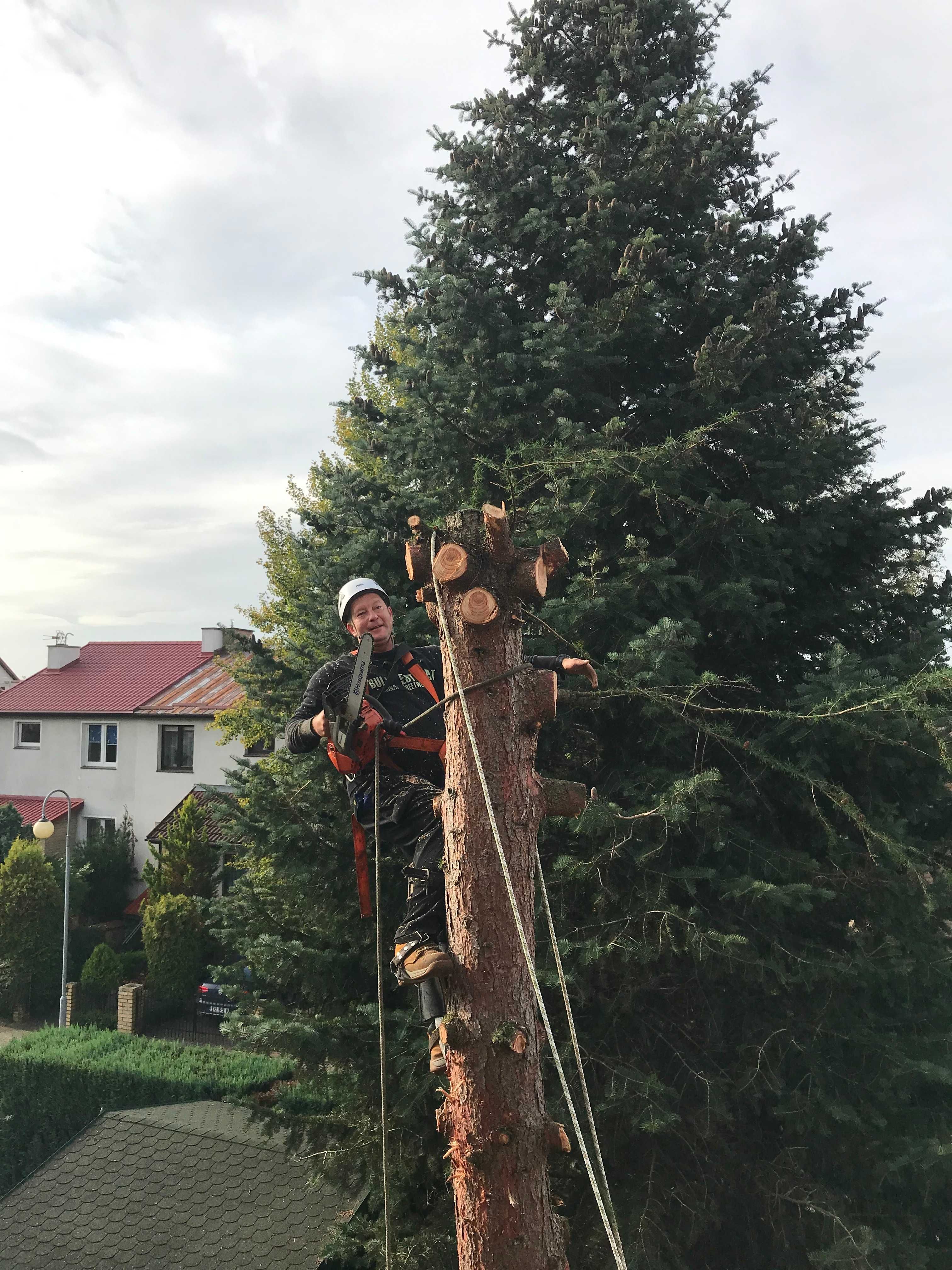 Wycinka drzew krzewów tanio szybko