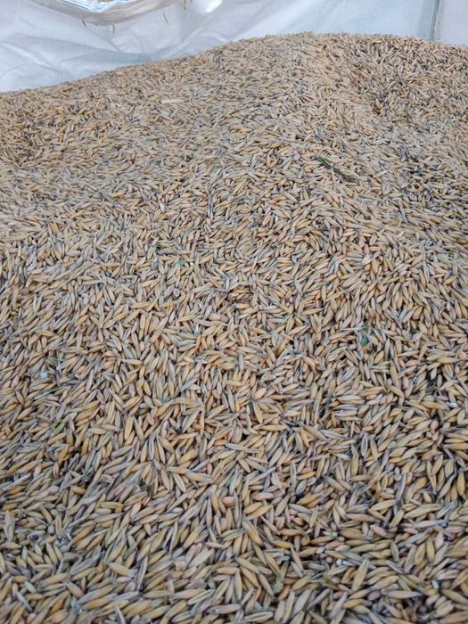 Sprzedam mieszankę zbożową