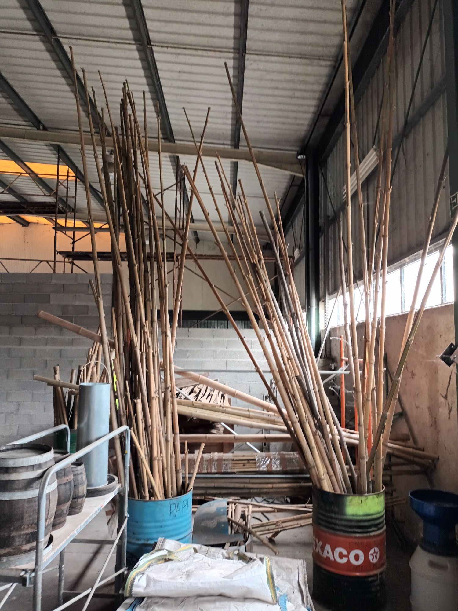 Bambu para jardim e bricolage6