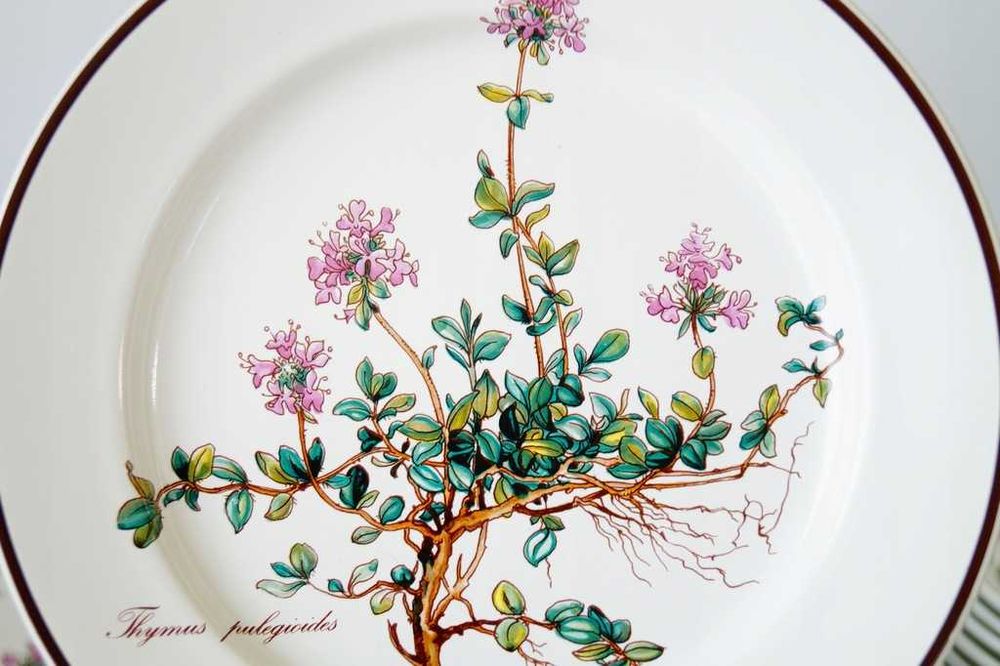 Villeroy Boch Botanica serwis do kawy 12 osób