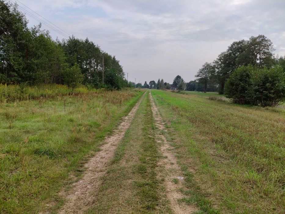 Siedlisko 1700m2 z domem i budynkami gospodarczymi + ziemia rolna.