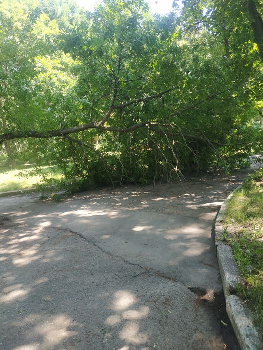 Земельна ділянка