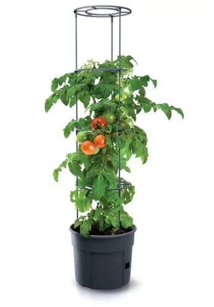 Doniczka Tomato Grower - Antracytowy 12L Prosperplast