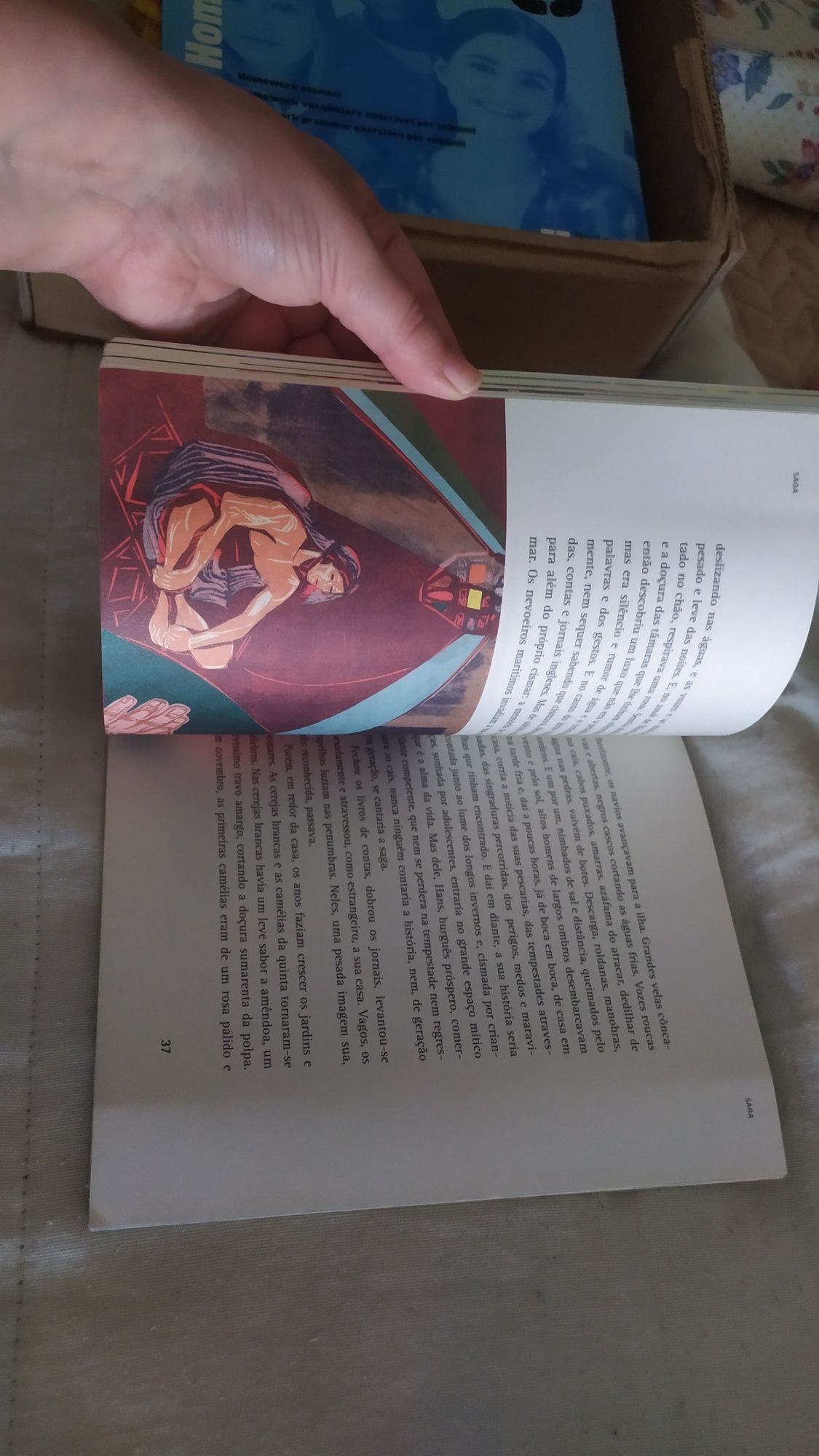 A saga Livro plano nacional de leitura português 8° ano