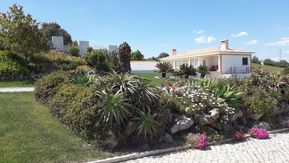 Serviços de Jardinagem, Topiária, construção civil e pintura,