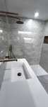 Ladrilhador/ profissional