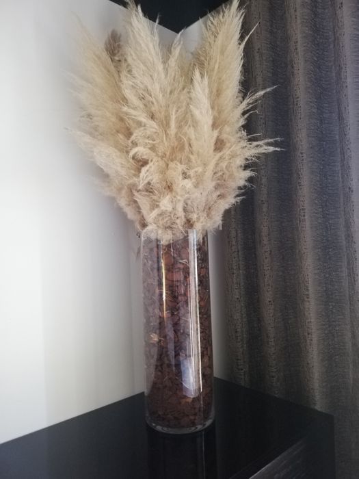 Centro Capim dos Pampas (Ler anúncio)