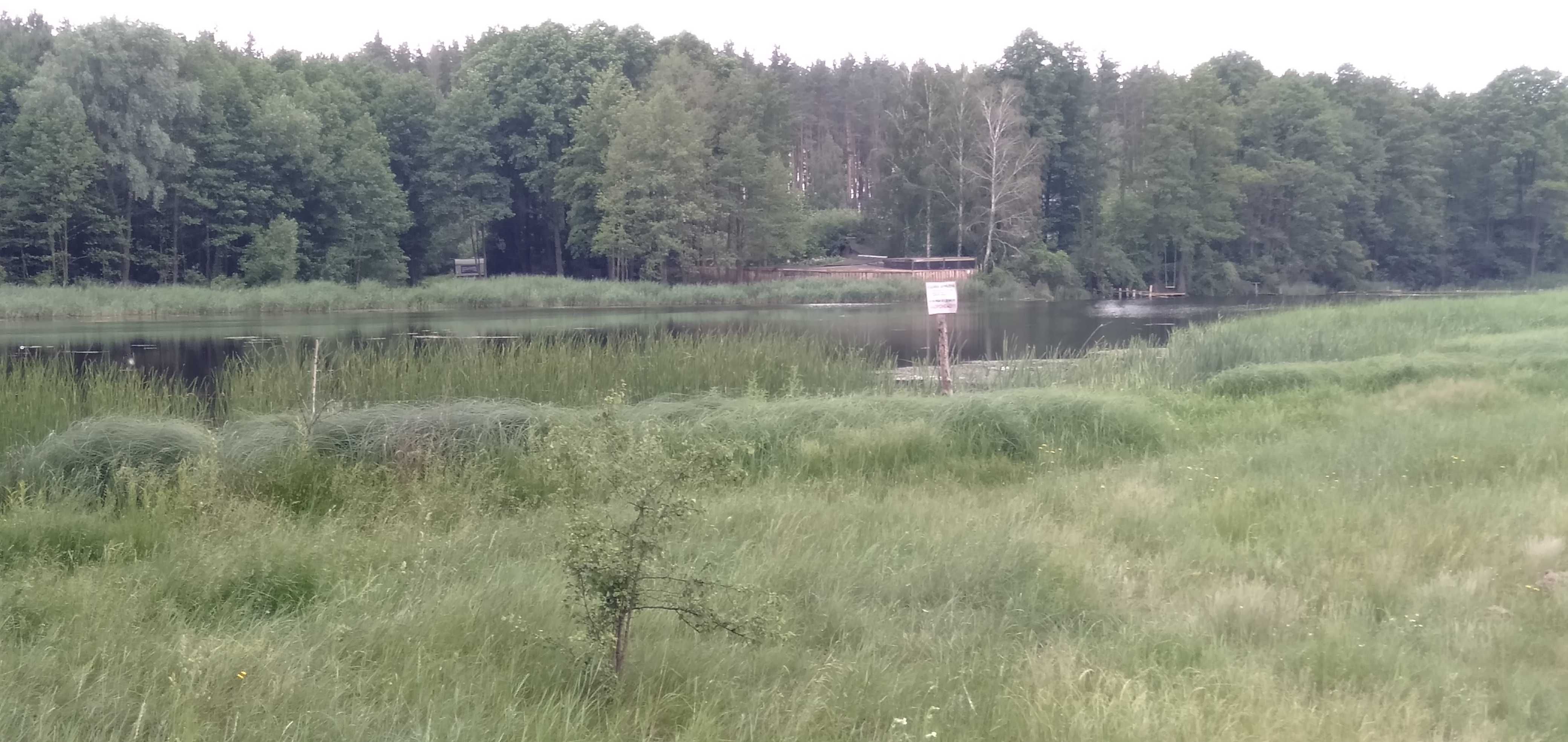 Будинок зі зручностями в селі Шибене,40 км. від Києва,ліс озеро поруч.