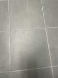 Gres mrozoodporny 45x45x10