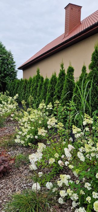 Kompleksowe zakładanie i pielęgnacja ogrodów