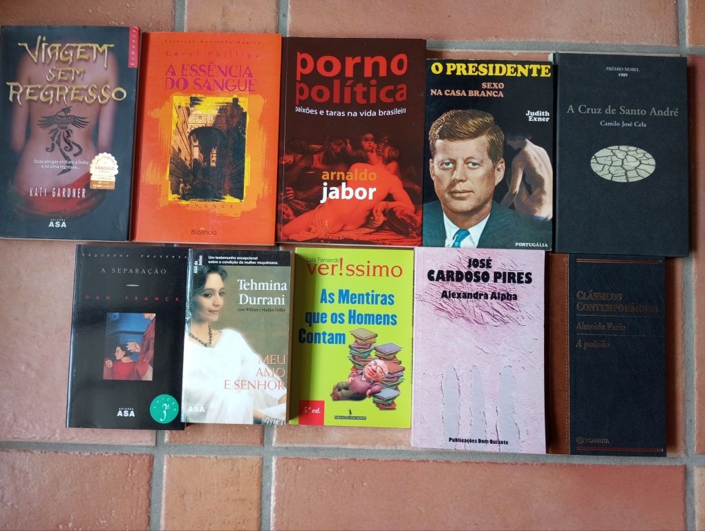 Lote 100 livros Literatura MBEstado
