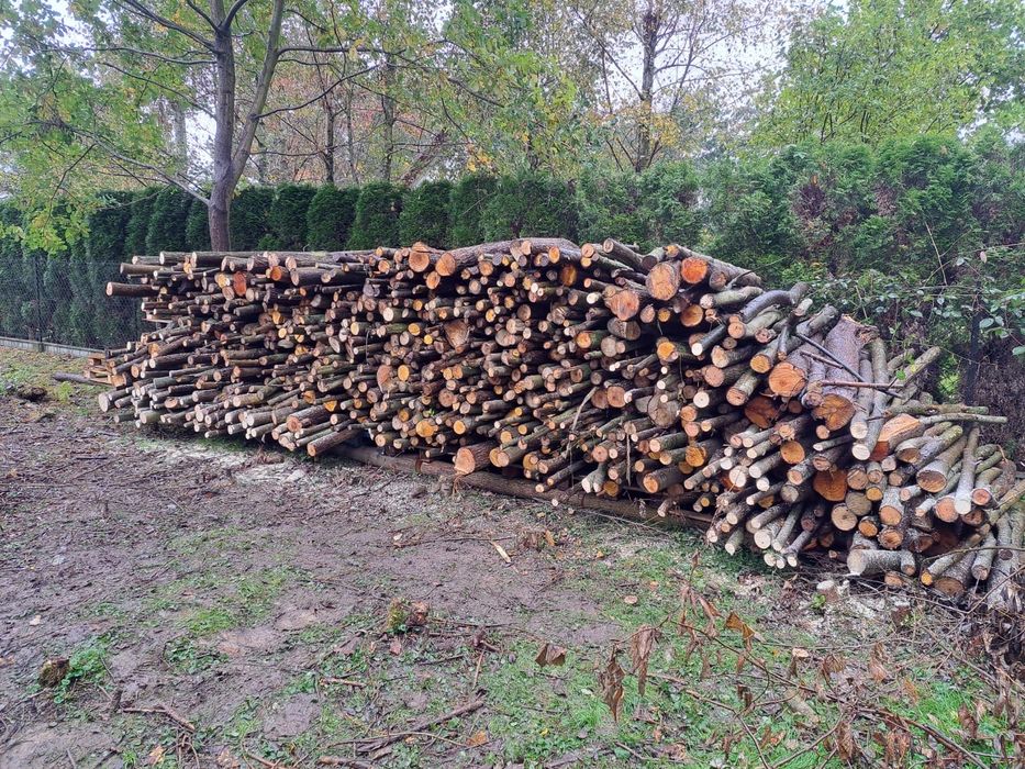 Drewno Opałowe 15 kubików