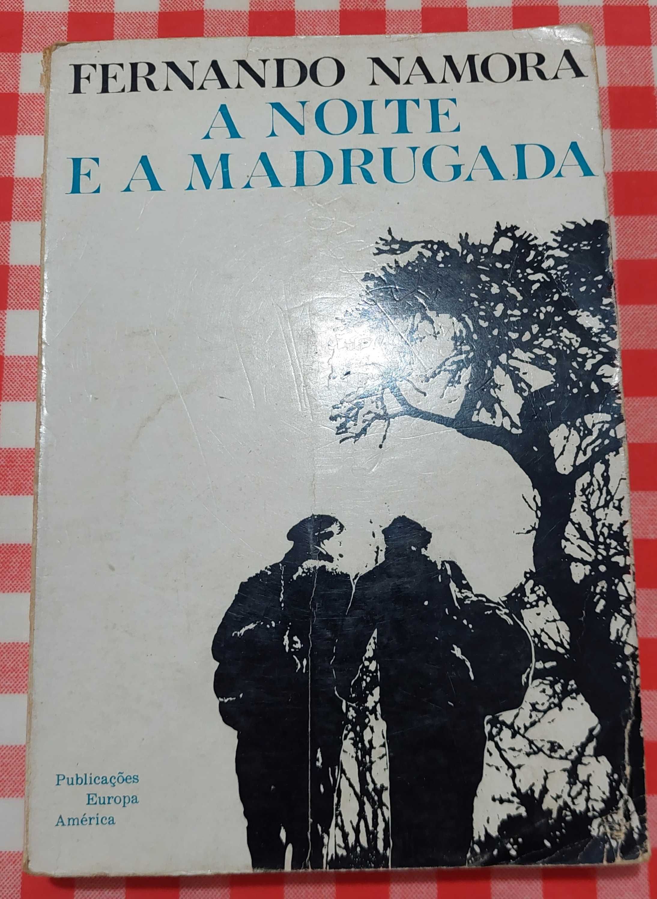 A noite e a madrugada, Fernanfo Namora