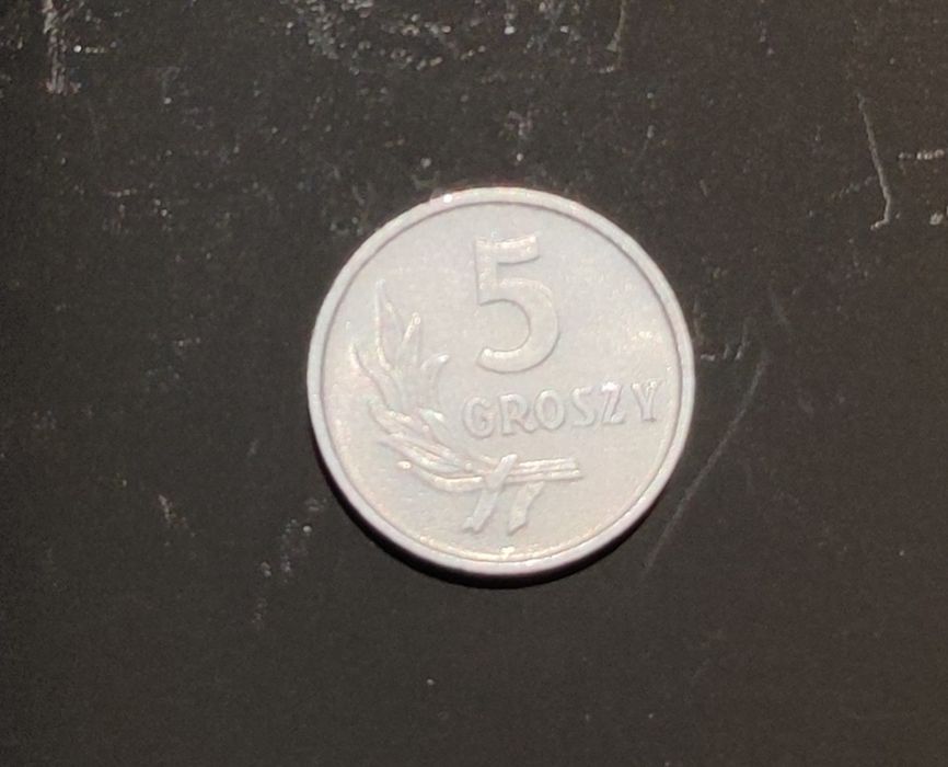 Moneta 5 groszy 1963