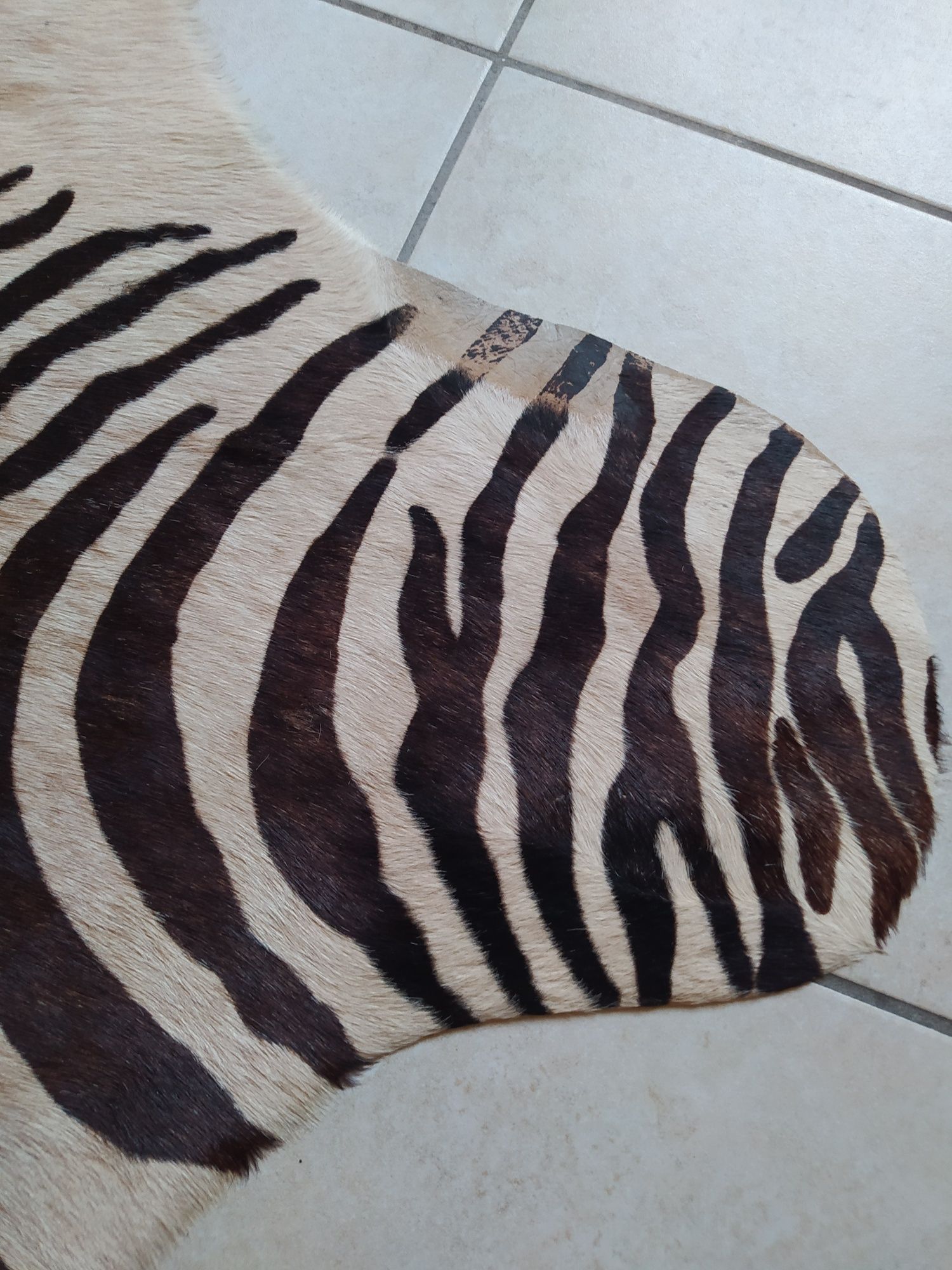 Dywan Zara Home zebra