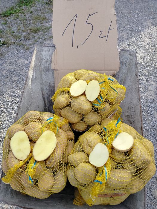 Ziemniaki worek 15kg różne odmiany