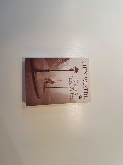 Carlos Ruiz Zafon, Cień Wiatru
