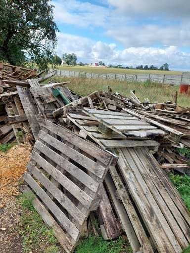 Palety drewniane, gałęzie oddam za darmo