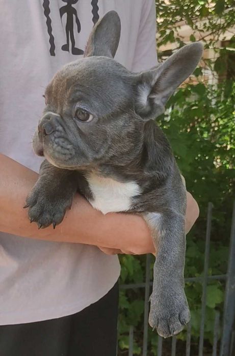 Голубой мальчик 3 месяца