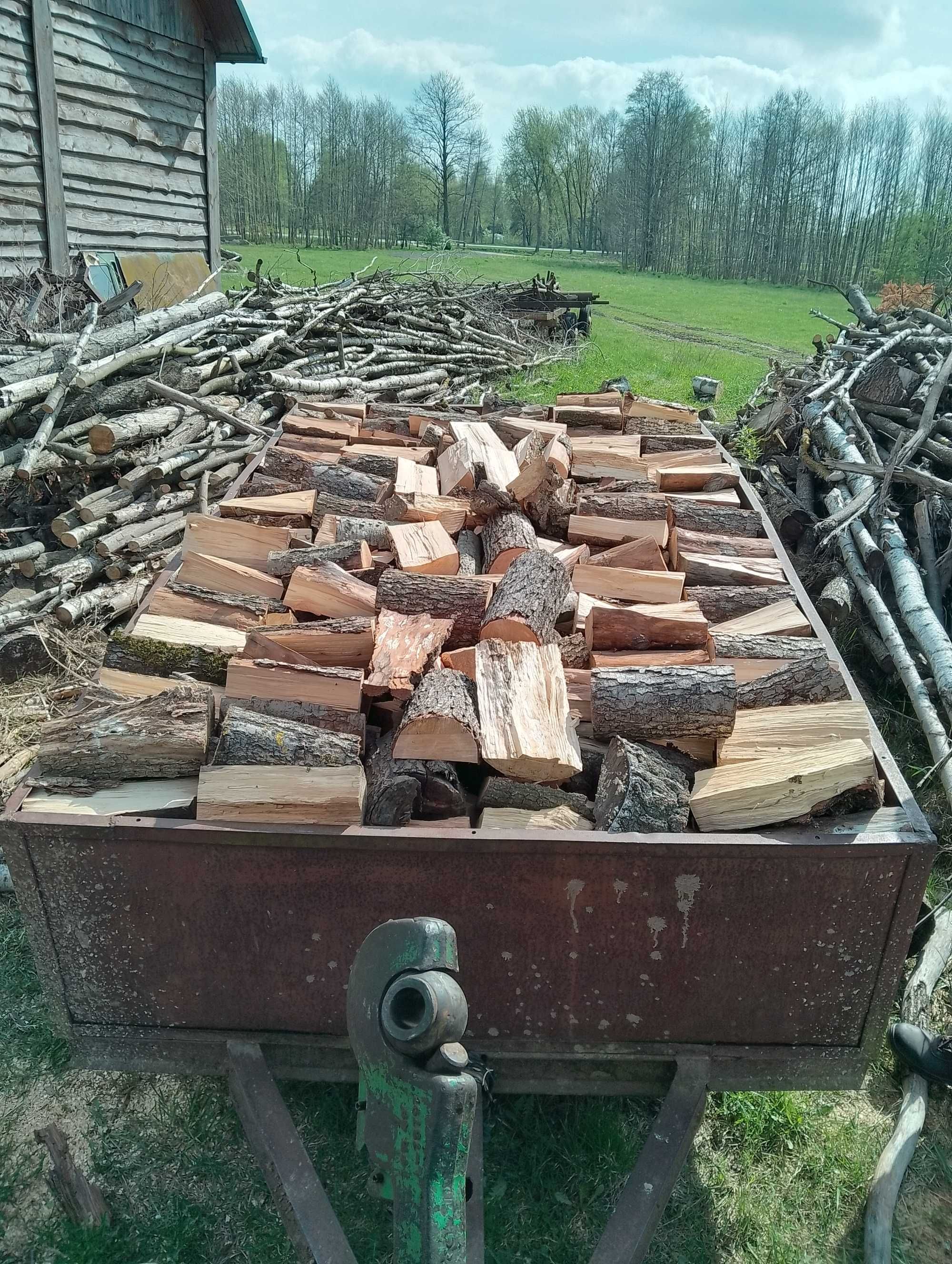 Drzewo opałowe brzoza olcha sosna