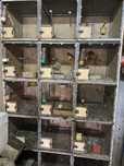 Voadeira para canarios ou outras aves