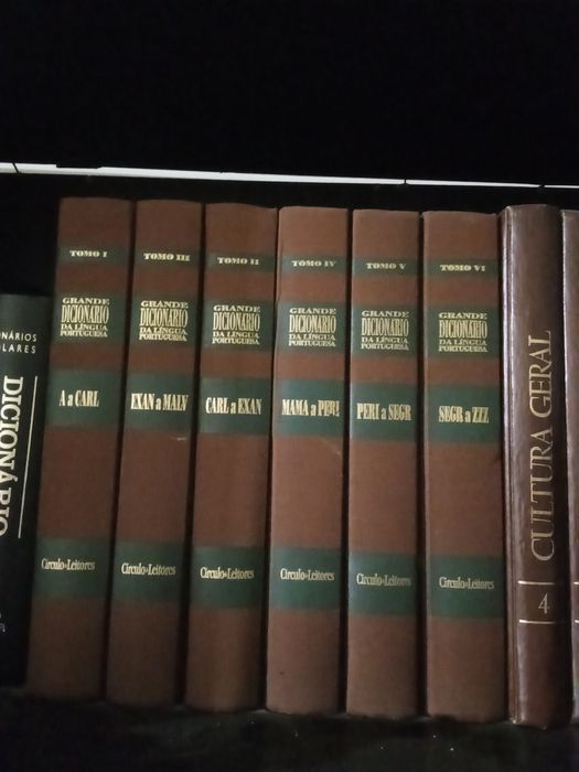 Dicionário língua portuguesa