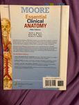 Essential clinical anatomy