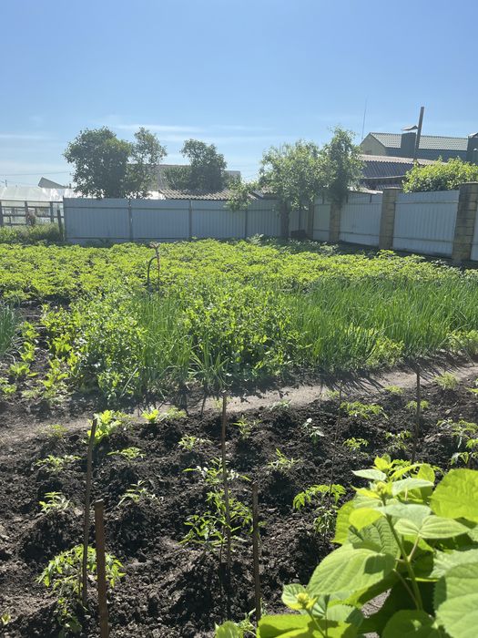 Продаж будинку недалеко від центру Борисполя, вулиця Кошмана