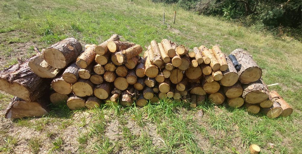 Drewno opałowe Sosna