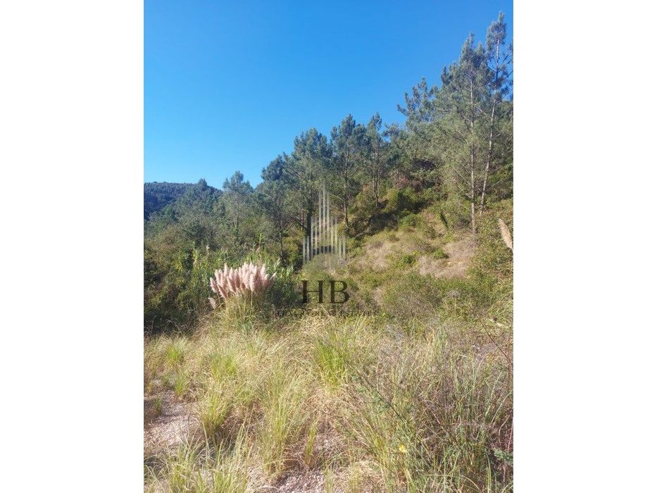 Terreno Misto com 9667m2 Mafra