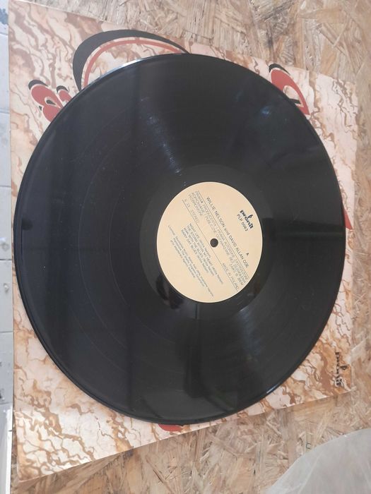 Willie Nelson and David Allan Coe Płyta Winylowa Pronit