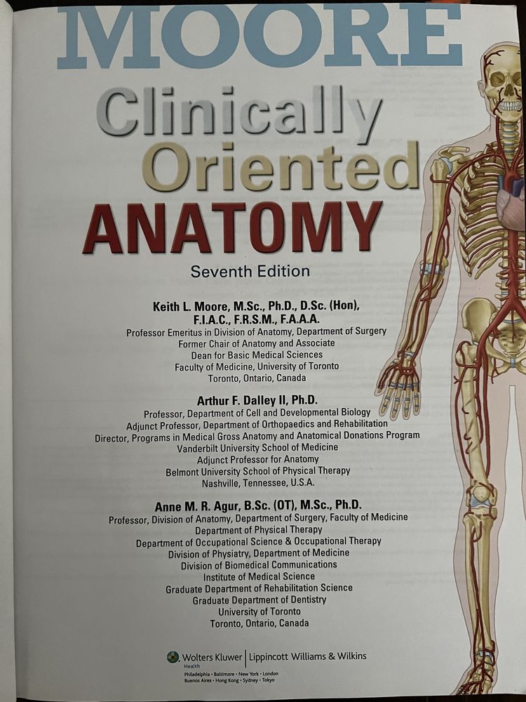 Podręcznik z anatomii (Moore clinical oriented anatomy)