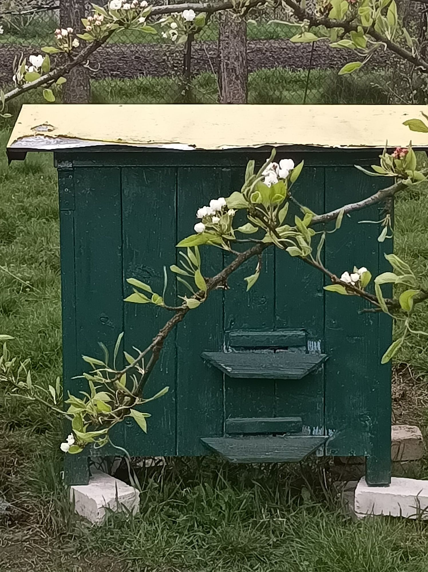 Ule Warszawskie  na sprzedaż