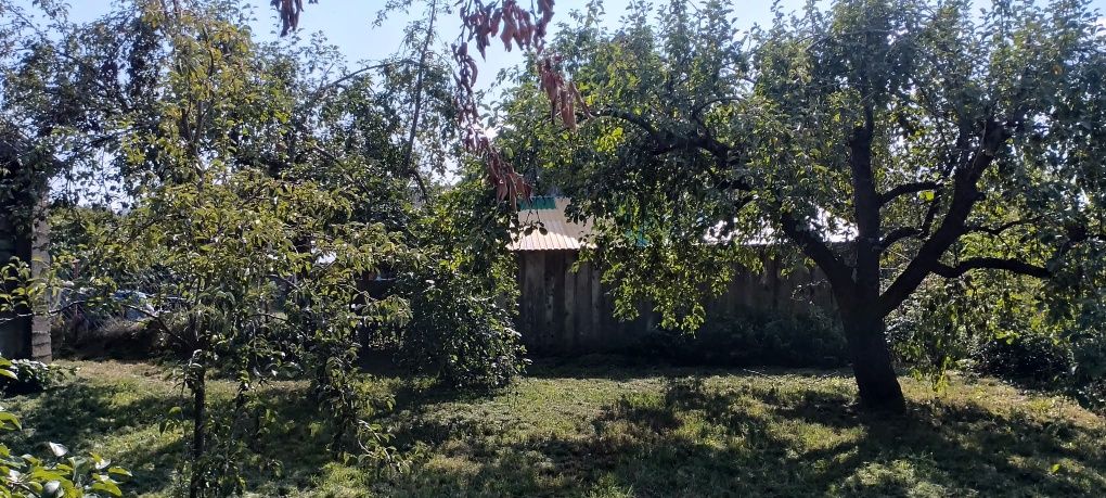 Siedlisko z domem - 0.42 ha - Synkowce
