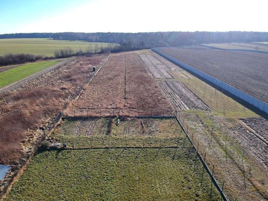 Działka rolno-budowlana Dobrosławów