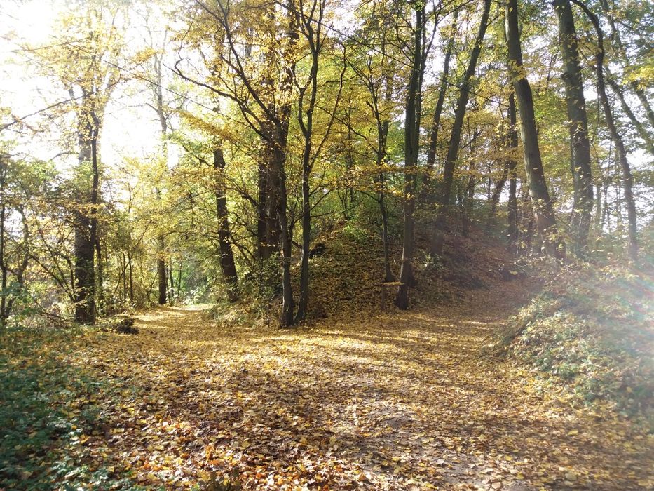 Domek na  Mikołajki z jacuzzi  blisko Warszawy nad rzeką - Romek
