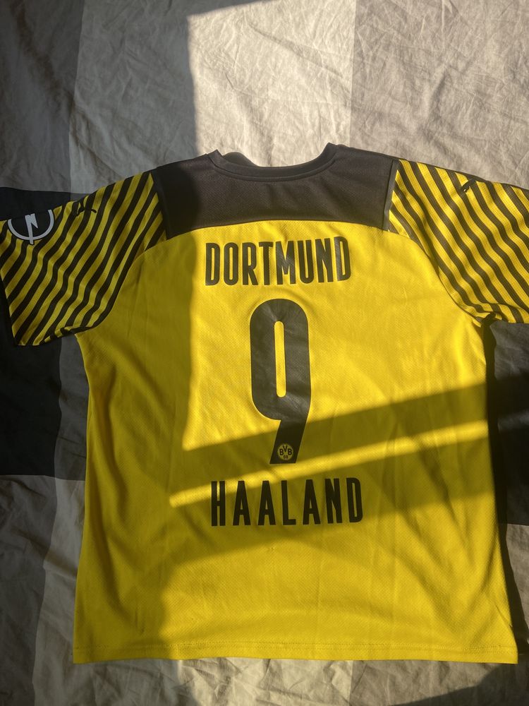 Camisola bvb 20/21 Halland 9