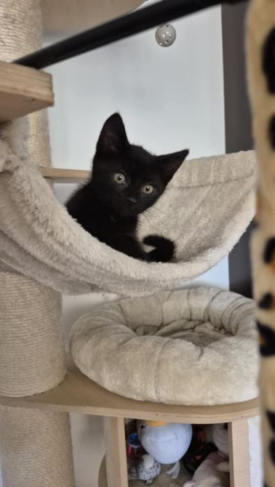 Kacperek potrzebuje domu