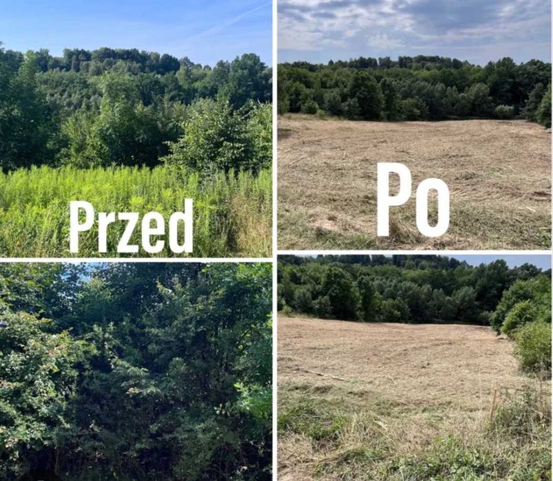 Czyszczenie działek, wycinka krzewów, drzew, usuwanie korzeni