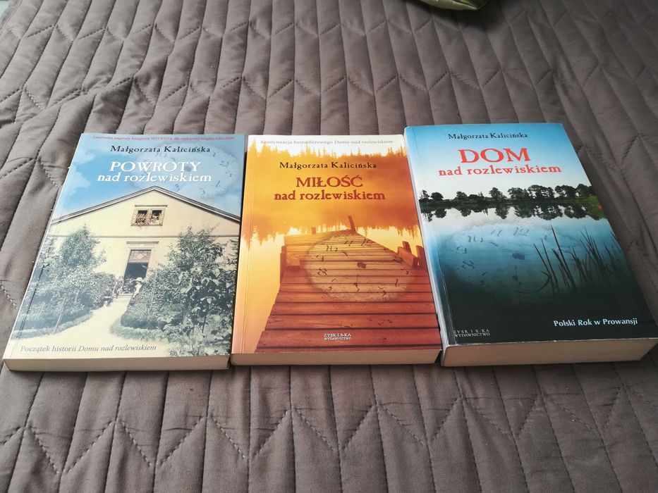 Małgorzata Kalicińska. Nad rozlewiskiem STAN IDEALNY