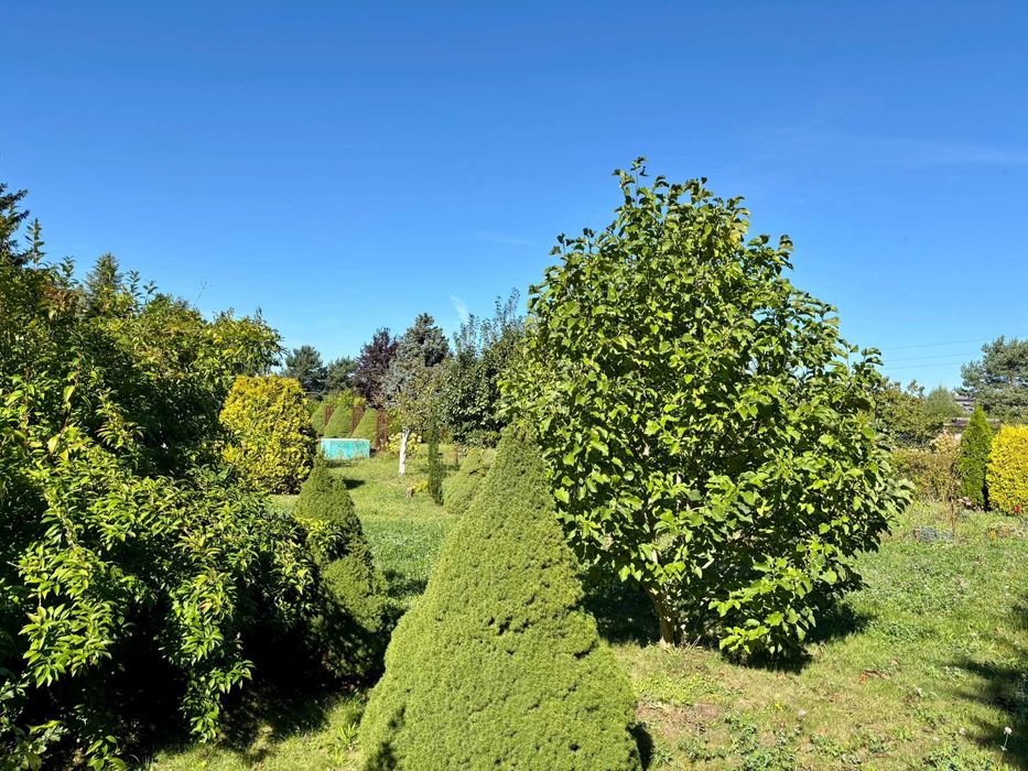 Ogródek działkowy ROD