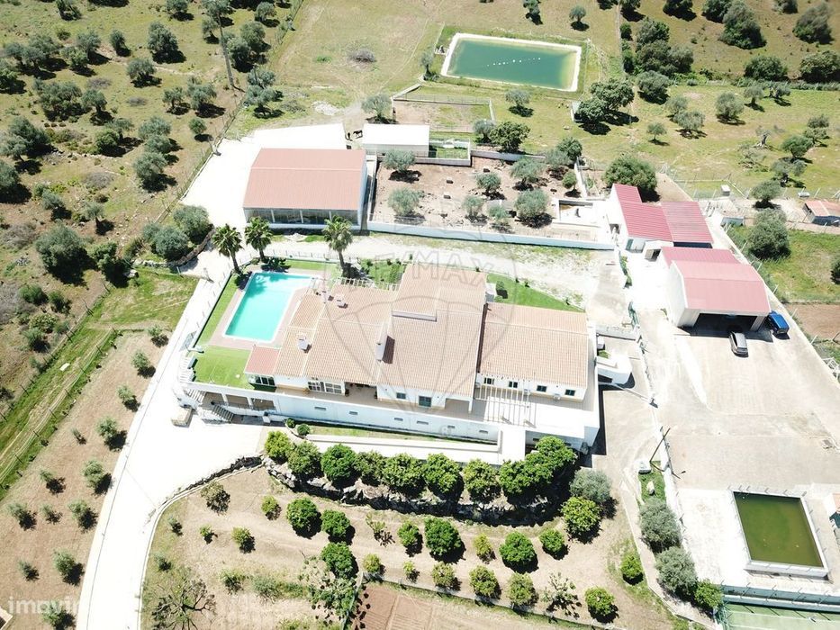 Quinta T10 para venda