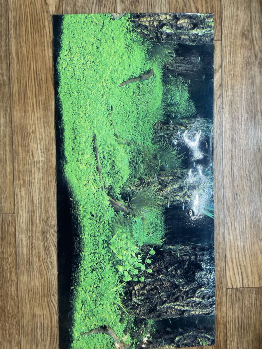 Фільтр, компресор, обігрівач, грунт, коряга для акварііума