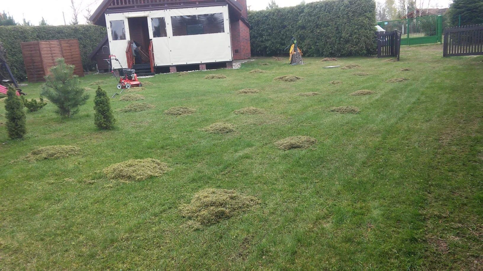 Wertykulacja areacja trawników - pielegnacia koszenie trawy