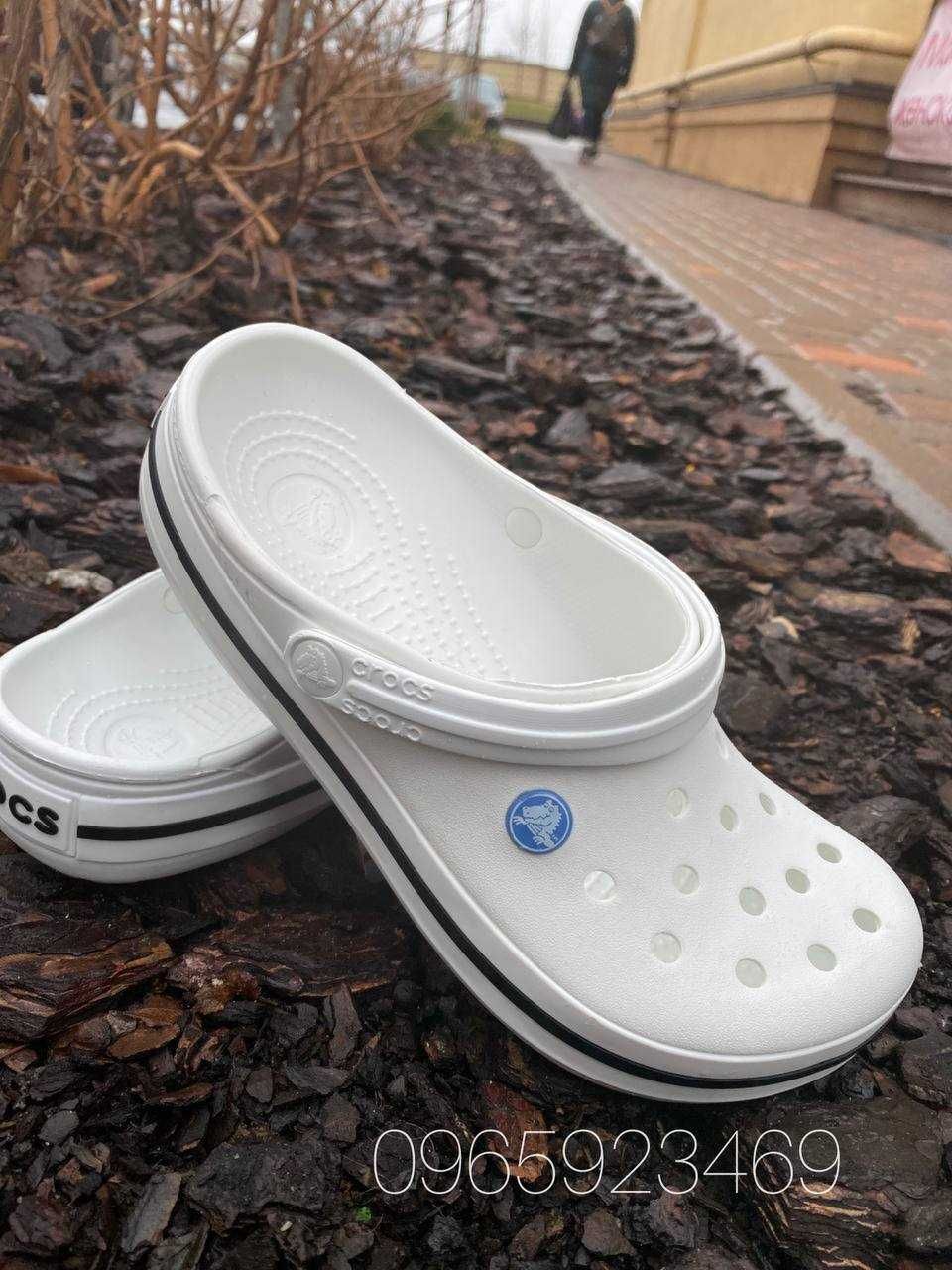 Купить Білосніжні крокс оригінал Crocs Crocband Clog 36-45 Джибітси