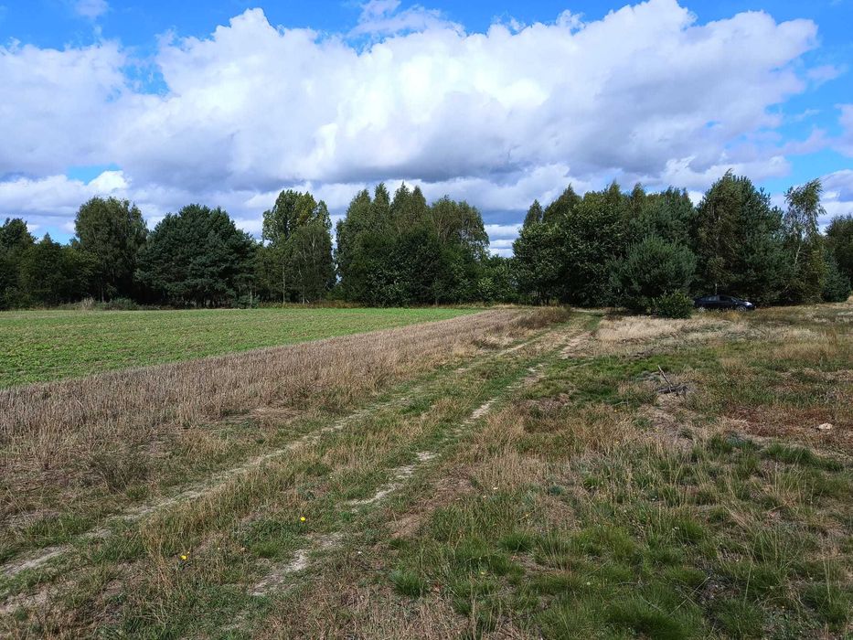 Działki budowlane w Tuszynie